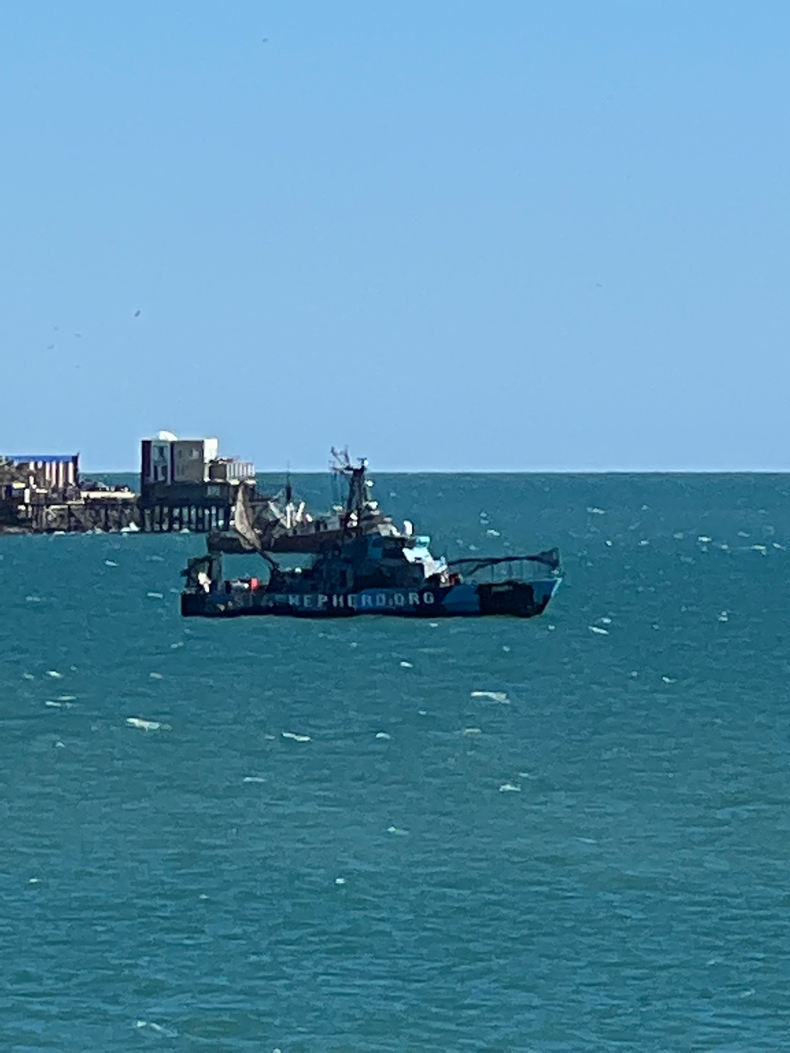 IMG_0236.jpg