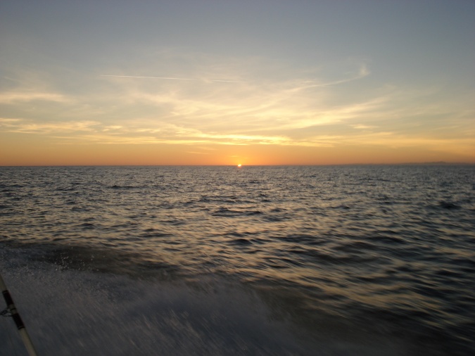 DSC01043.jpg