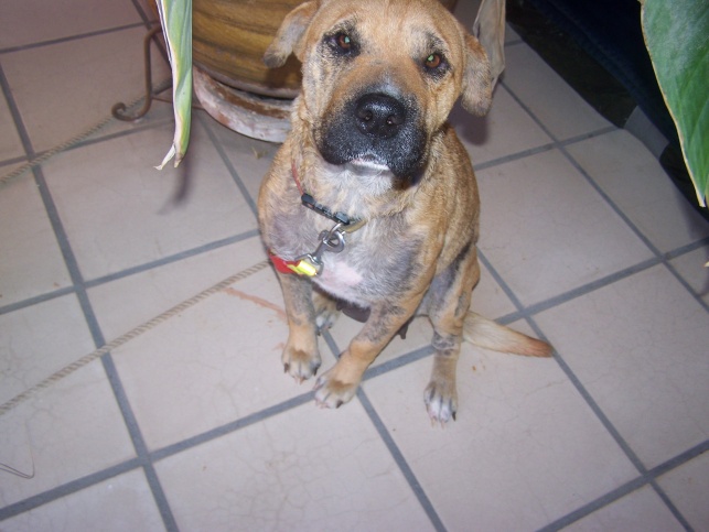 100_2213.jpg